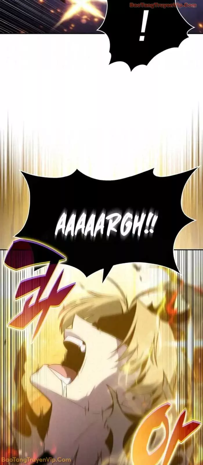 Tôi Là Tân Thủ Có Cấp Cao Nhất Chapter 237 - Trang 2