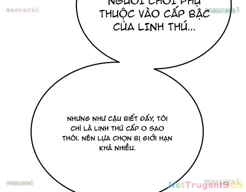 Tôi May Mắn Triệu Hồi Được Tinh Linh Hộ Vệ Hạng 10 Chapter 13 13