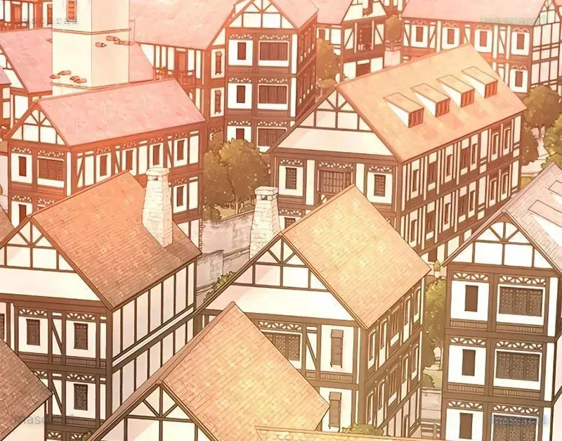 Tôi May Mắn Triệu Hồi Được Tinh Linh Hộ Vệ Hạng 10 Chapter 13 27
