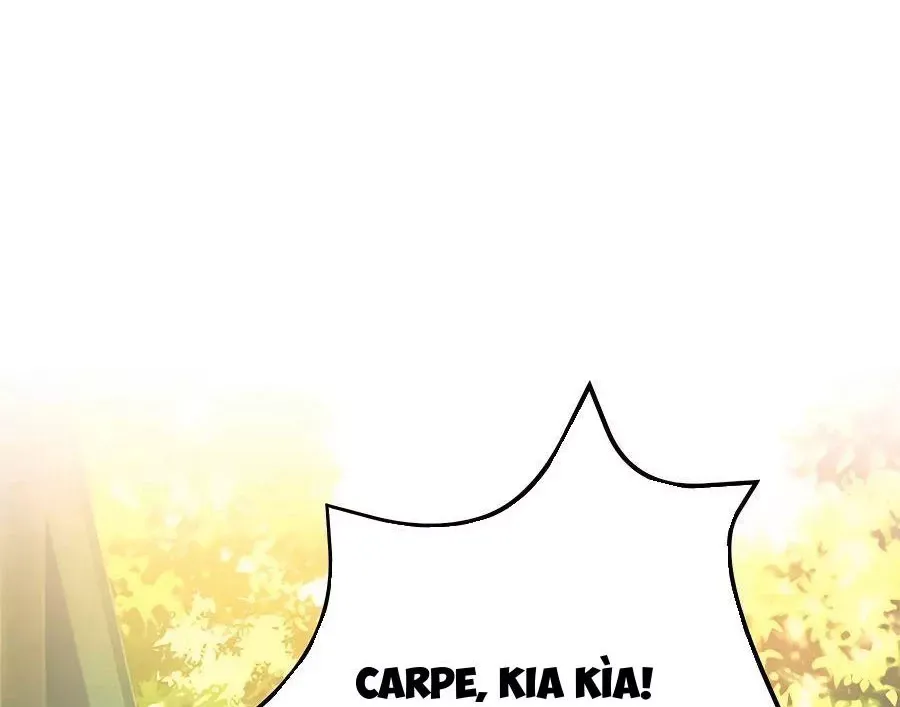 Tôi May Mắn Triệu Hồi Được Tinh Linh Hộ Vệ Hạng 10 Chapter 13 39