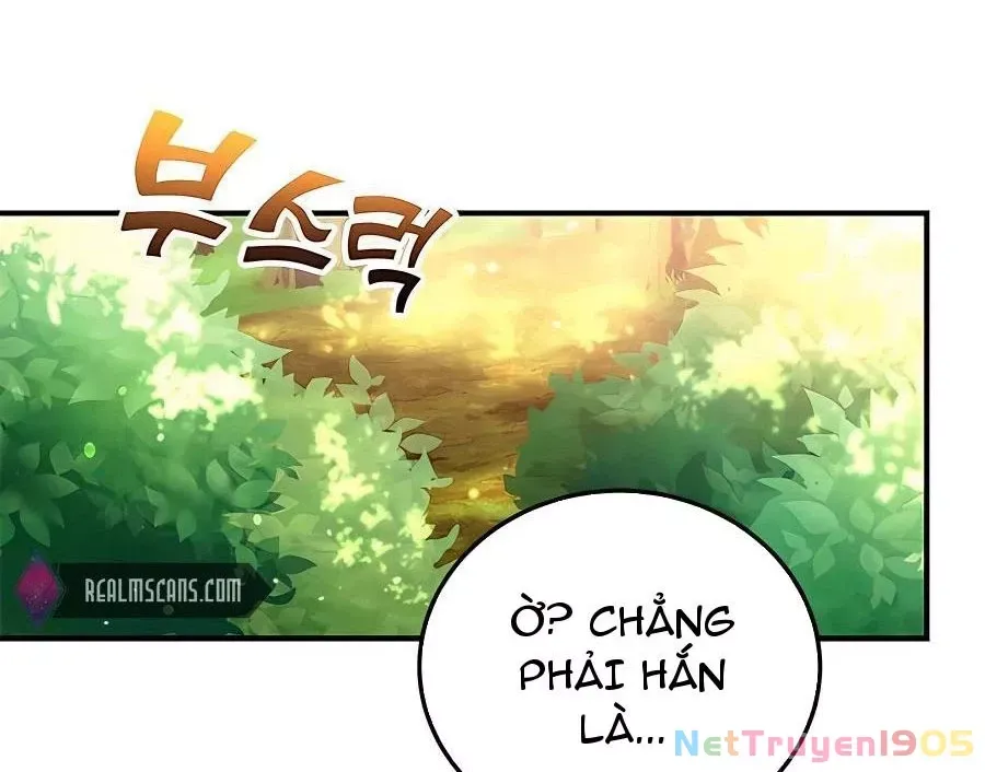 Tôi May Mắn Triệu Hồi Được Tinh Linh Hộ Vệ Hạng 10 Chapter 13 48
