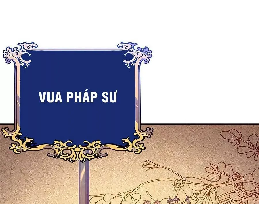 Tôi May Mắn Triệu Hồi Được Tinh Linh Hộ Vệ Hạng 10 Chapter 13 135