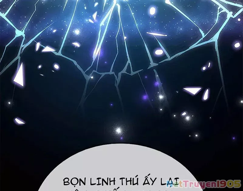 Tôi May Mắn Triệu Hồi Được Tinh Linh Hộ Vệ Hạng 10 Chapter 13 159