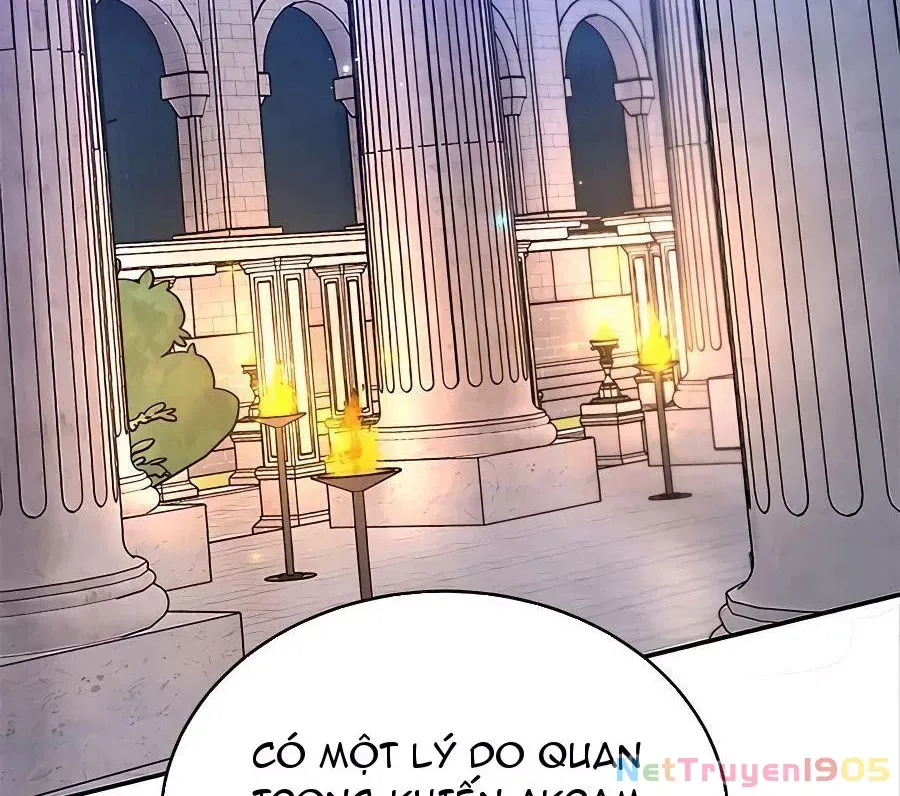 Tôi May Mắn Triệu Hồi Được Tinh Linh Hộ Vệ Hạng 10 Chapter 13 184