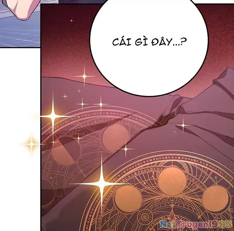 Tôi May Mắn Triệu Hồi Được Tinh Linh Hộ Vệ Hạng 10 Chapter 14 44