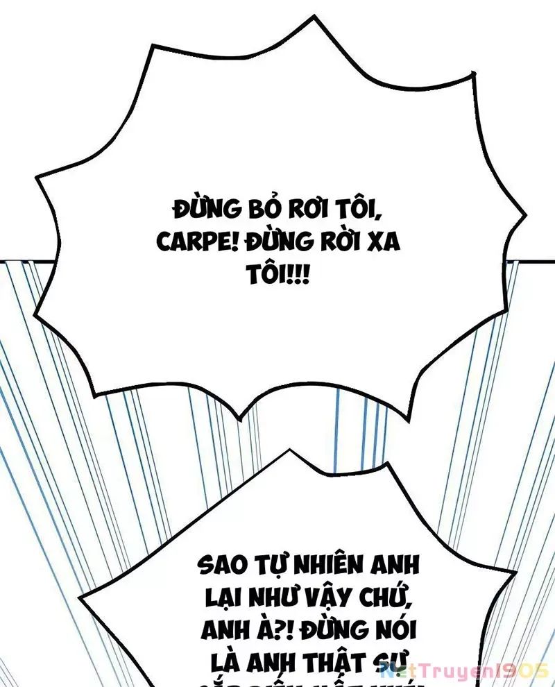 Tôi May Mắn Triệu Hồi Được Tinh Linh Hộ Vệ Hạng 10 Chapter 14 107