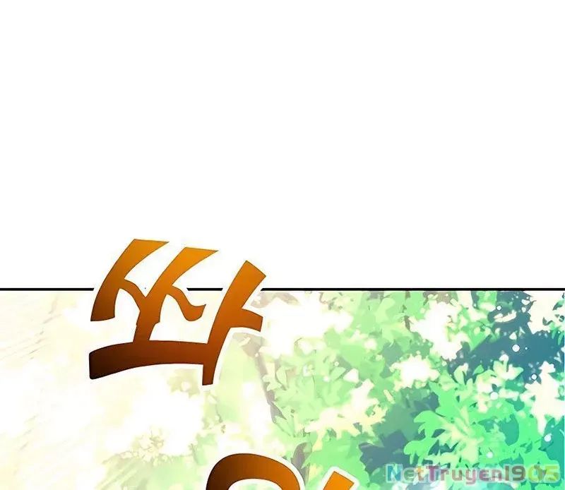 Tôi May Mắn Triệu Hồi Được Tinh Linh Hộ Vệ Hạng 10 Chapter 14 135