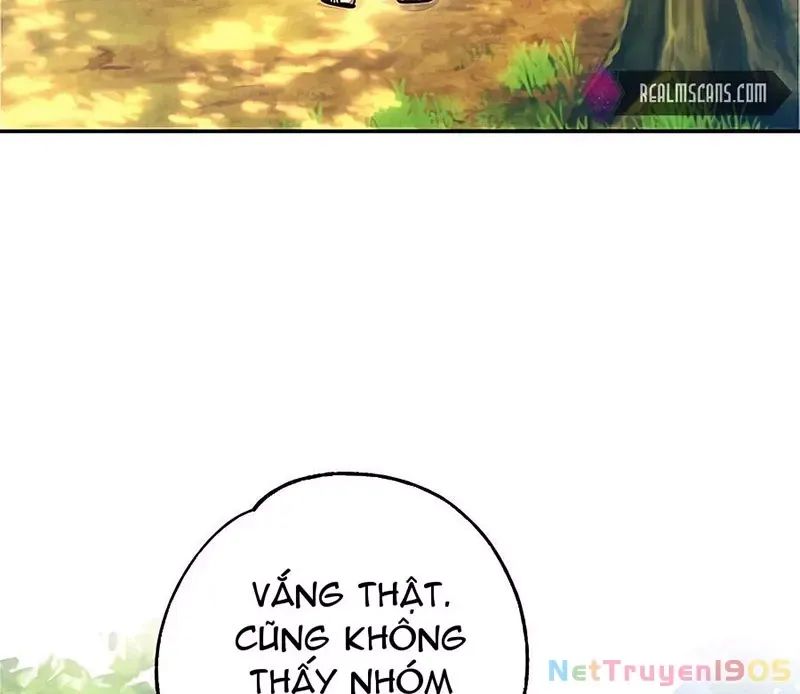 Tôi May Mắn Triệu Hồi Được Tinh Linh Hộ Vệ Hạng 10 Chapter 14 138