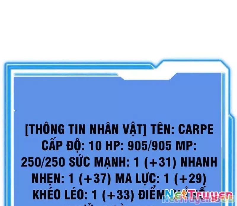 Tôi May Mắn Triệu Hồi Được Tinh Linh Hộ Vệ Hạng 10 Chapter 14 146