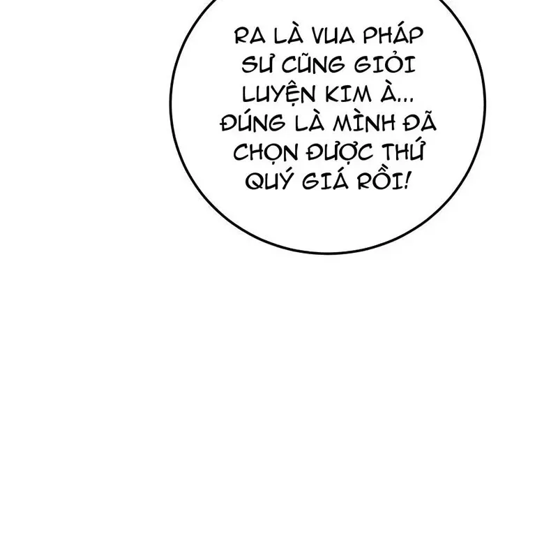 Tôi May Mắn Triệu Hồi Được Tinh Linh Hộ Vệ Hạng 10 Chapter 15 9