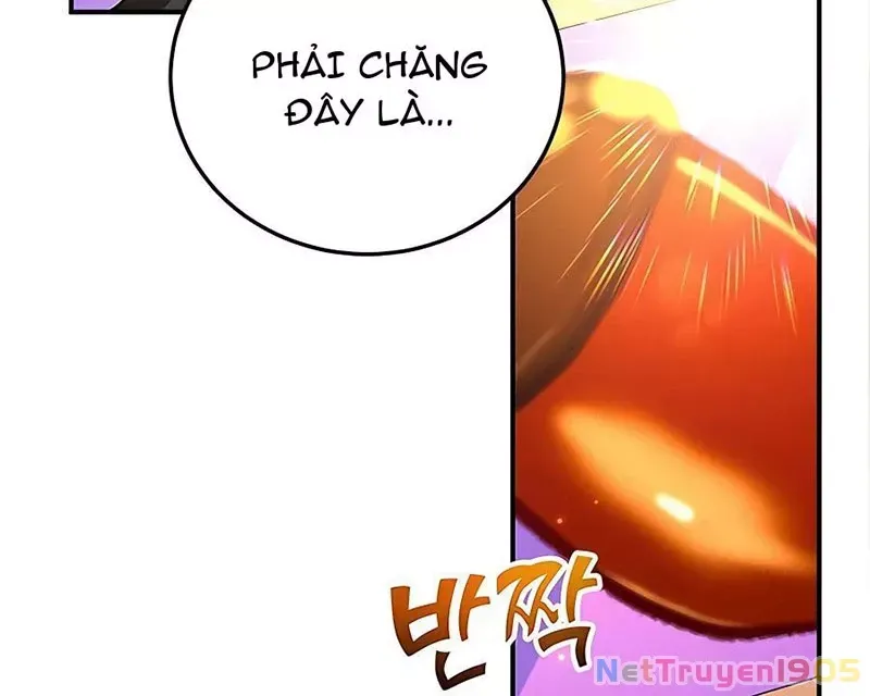 Tôi May Mắn Triệu Hồi Được Tinh Linh Hộ Vệ Hạng 10 Chapter 15 35