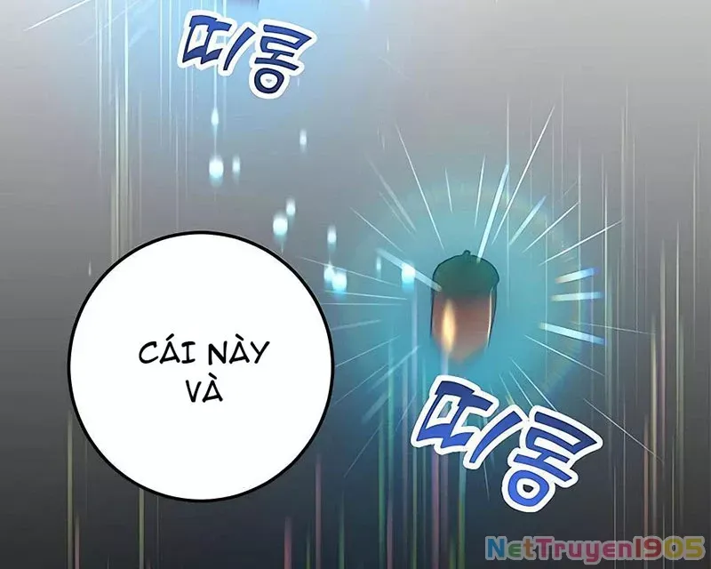 Tôi May Mắn Triệu Hồi Được Tinh Linh Hộ Vệ Hạng 10 Chapter 15 38