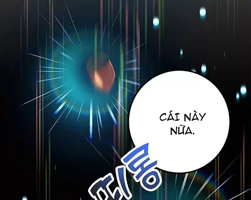Tôi May Mắn Triệu Hồi Được Tinh Linh Hộ Vệ Hạng 10 Chapter 15 39
