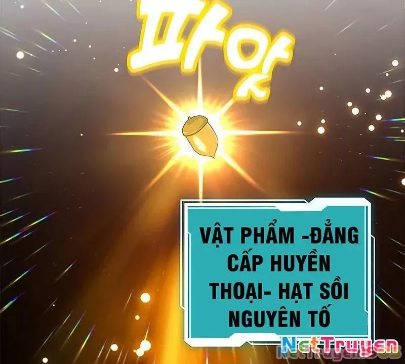 Tôi May Mắn Triệu Hồi Được Tinh Linh Hộ Vệ Hạng 10 Chapter 15 71