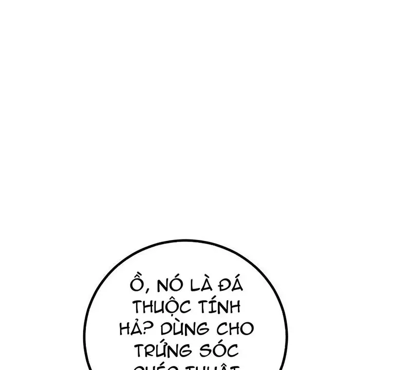 Tôi May Mắn Triệu Hồi Được Tinh Linh Hộ Vệ Hạng 10 Chapter 15 83