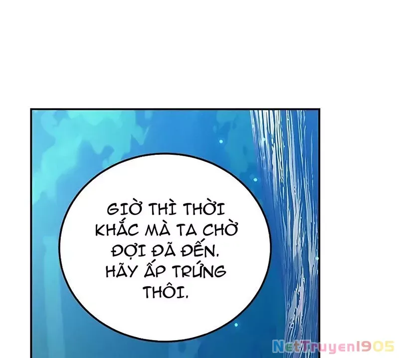 Tôi May Mắn Triệu Hồi Được Tinh Linh Hộ Vệ Hạng 10 Chapter 15 87