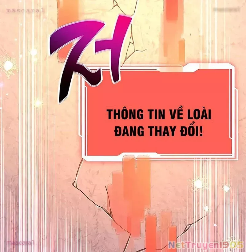 Tôi May Mắn Triệu Hồi Được Tinh Linh Hộ Vệ Hạng 10 Chapter 15 104