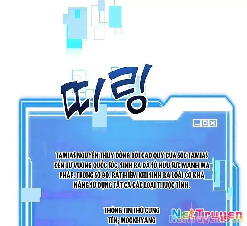 Tôi May Mắn Triệu Hồi Được Tinh Linh Hộ Vệ Hạng 10 Chapter 15 126