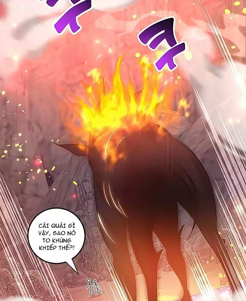 Tôi May Mắn Triệu Hồi Được Tinh Linh Hộ Vệ Hạng 10 Chapter 16 70