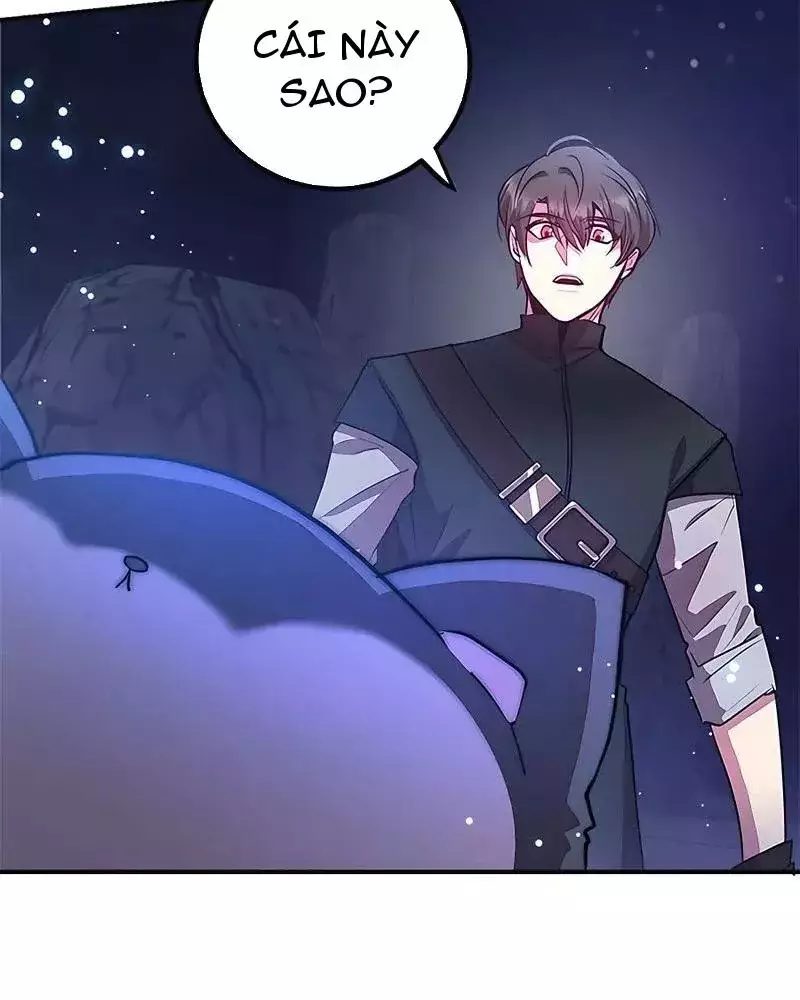 Tôi May Mắn Triệu Hồi Được Tinh Linh Hộ Vệ Hạng 10 Chapter 17 32