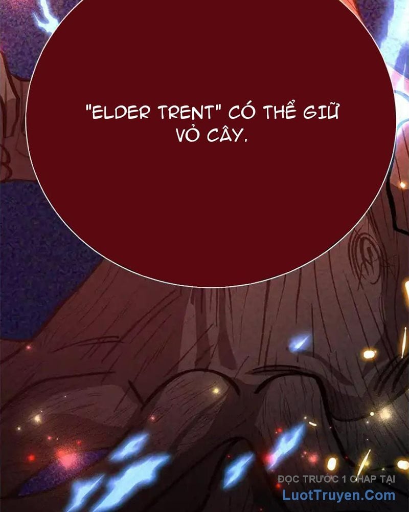 Tôi May Mắn Triệu Hồi Được Tinh Linh Hộ Vệ Hạng 10 Chapter 29 - Next Chapter 30