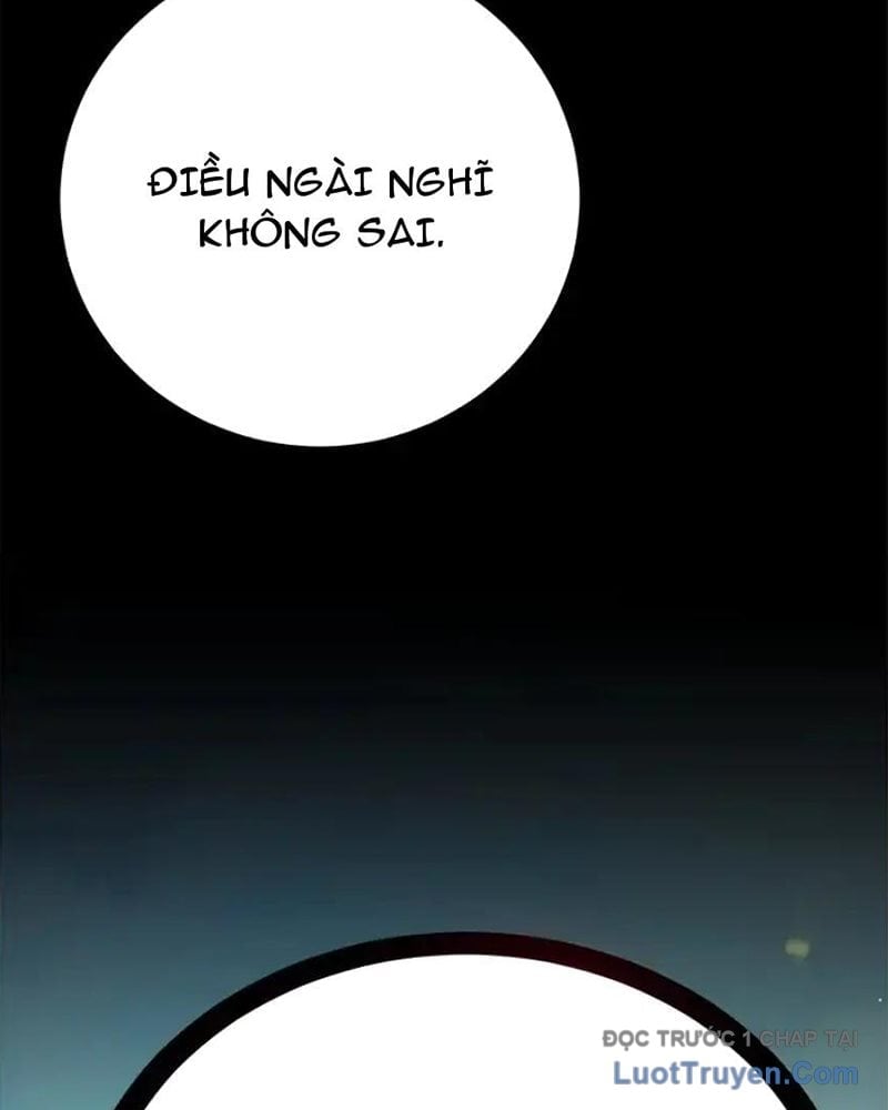 Tôi May Mắn Triệu Hồi Được Tinh Linh Hộ Vệ Hạng 10 Chapter 30 - Next Chapter 31