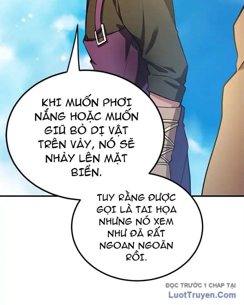 Tôi May Mắn Triệu Hồi Được Tinh Linh Hộ Vệ Hạng 10 Chapter 31 - Next Chapter 32