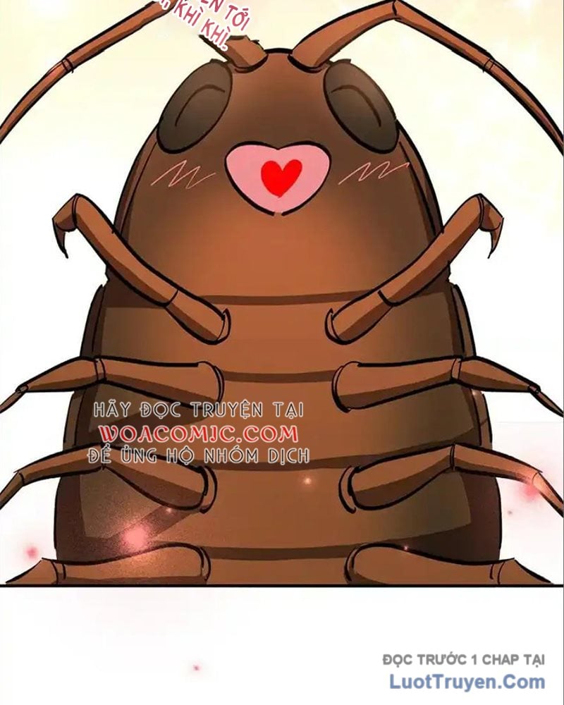 Tôi May Mắn Triệu Hồi Được Tinh Linh Hộ Vệ Hạng 10 Chapter 32 - Next Chapter 33
