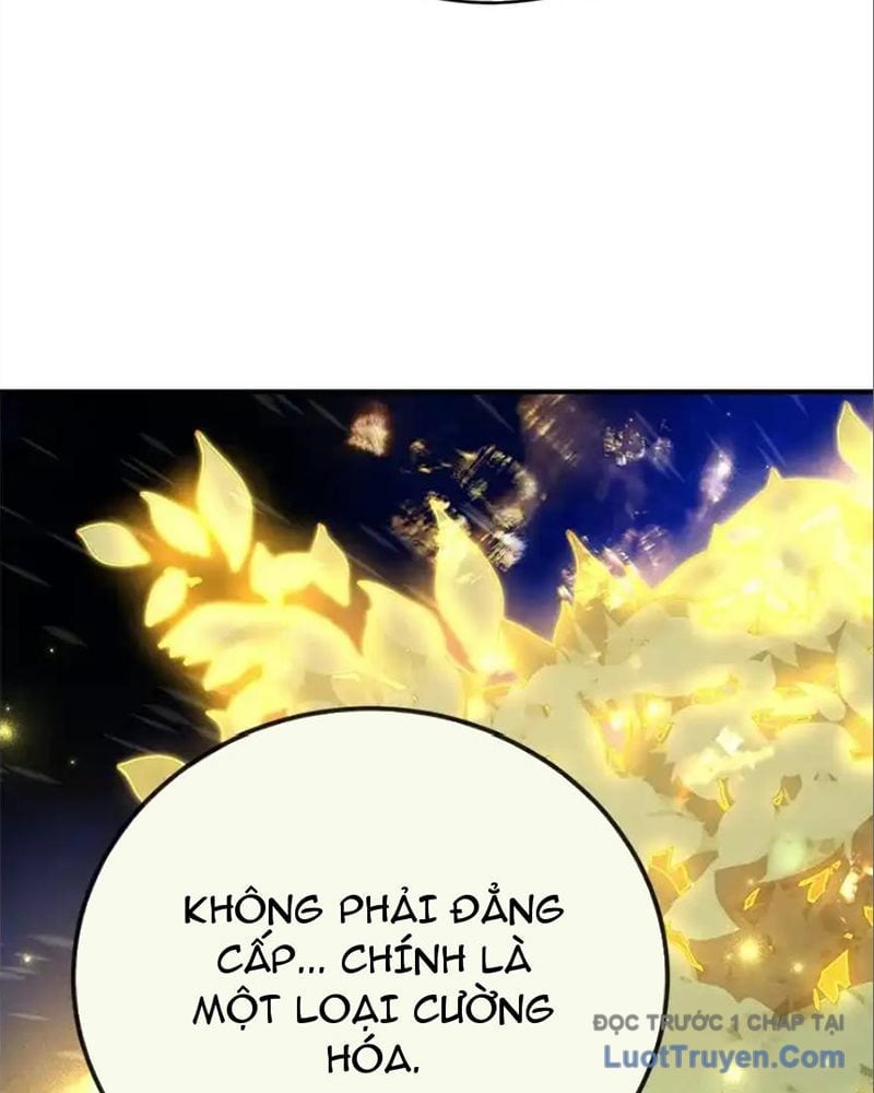 Tôi May Mắn Triệu Hồi Được Tinh Linh Hộ Vệ Hạng 10 Chapter 33 - Next Chapter 34