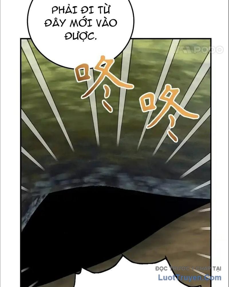 Tôi May Mắn Triệu Hồi Được Tinh Linh Hộ Vệ Hạng 10 Chapter 35 - Next Chapter 36