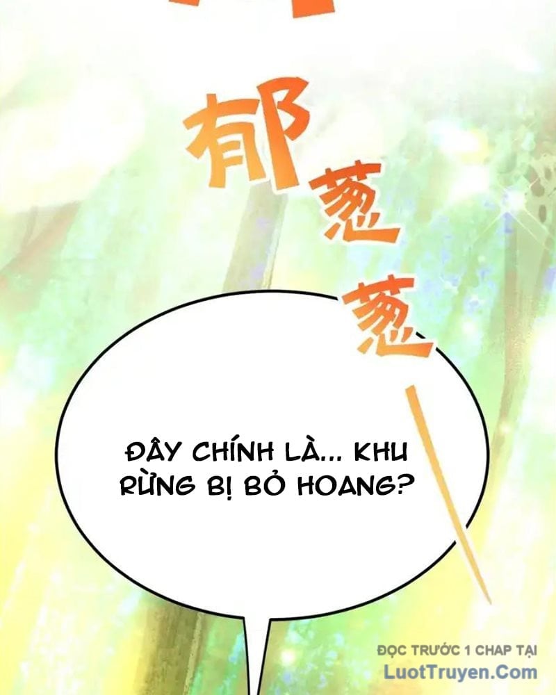 Tôi May Mắn Triệu Hồi Được Tinh Linh Hộ Vệ Hạng 10 Chapter 35 - Next Chapter 36
