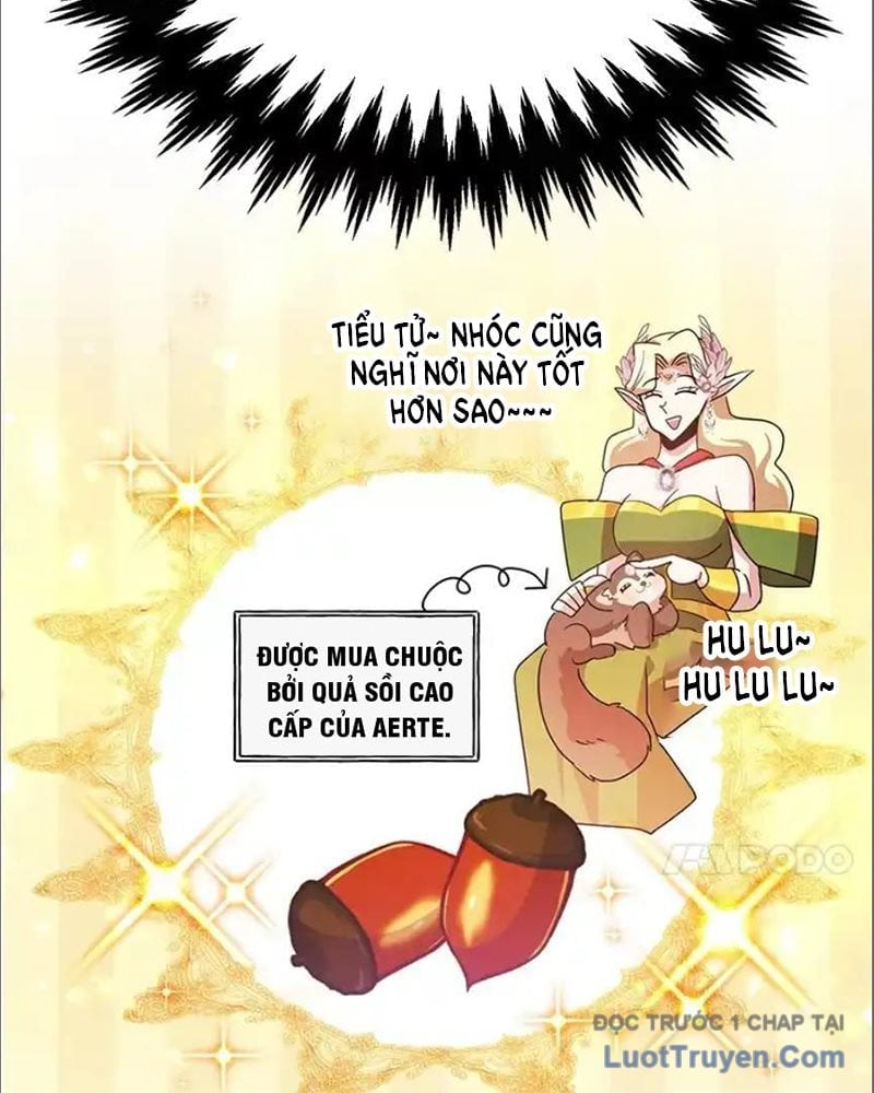 Tôi May Mắn Triệu Hồi Được Tinh Linh Hộ Vệ Hạng 10 Chapter 36 - Next Chapter 37