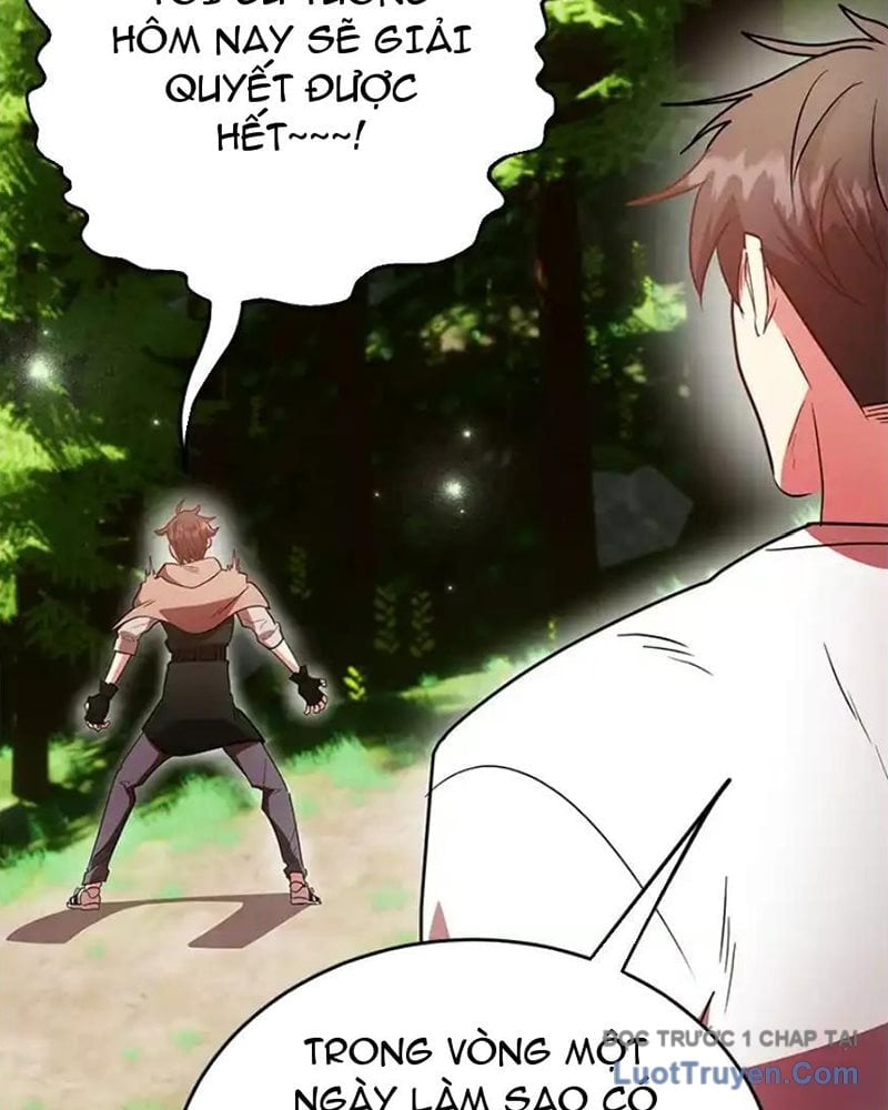 Tôi May Mắn Triệu Hồi Được Tinh Linh Hộ Vệ Hạng 10 Chapter 37 - Next 
