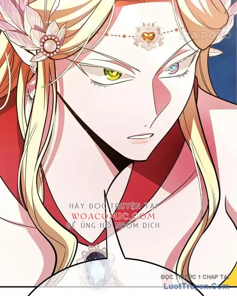 Tôi May Mắn Triệu Hồi Được Tinh Linh Hộ Vệ Hạng 10 Chapter 37 - Next 