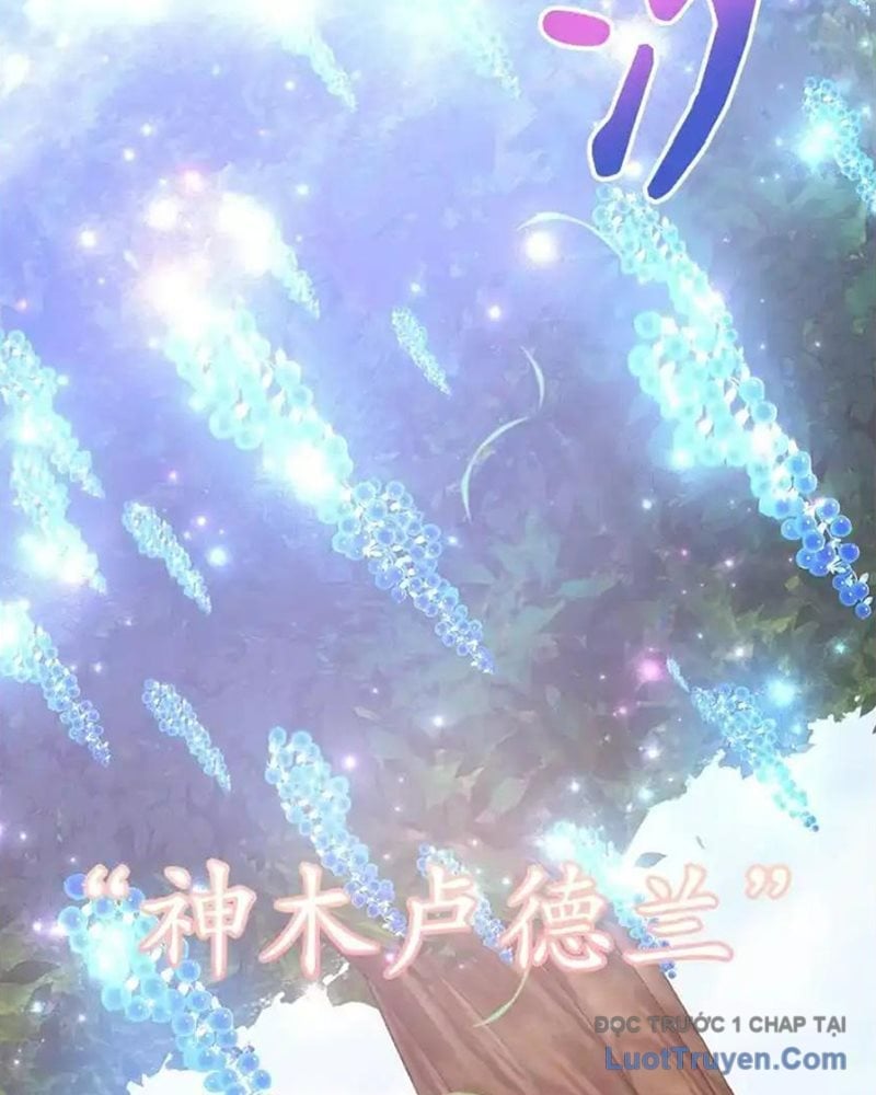Tôi May Mắn Triệu Hồi Được Tinh Linh Hộ Vệ Hạng 10 Chapter 37 - Next 