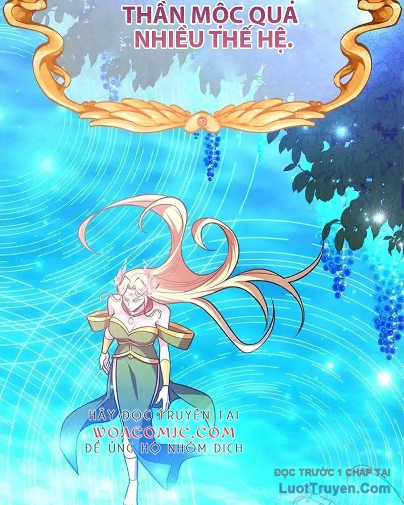 Tôi May Mắn Triệu Hồi Được Tinh Linh Hộ Vệ Hạng 10 Chapter 37 - Next 