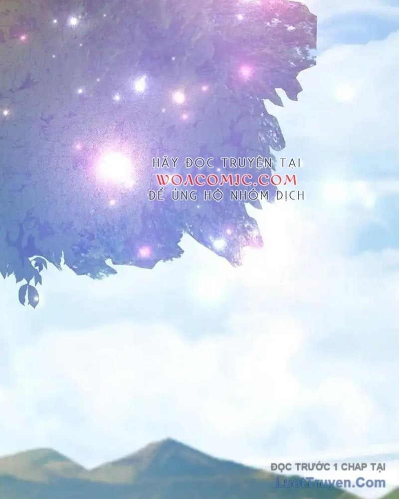 Tôi May Mắn Triệu Hồi Được Tinh Linh Hộ Vệ Hạng 10 Chapter 37 - Next 