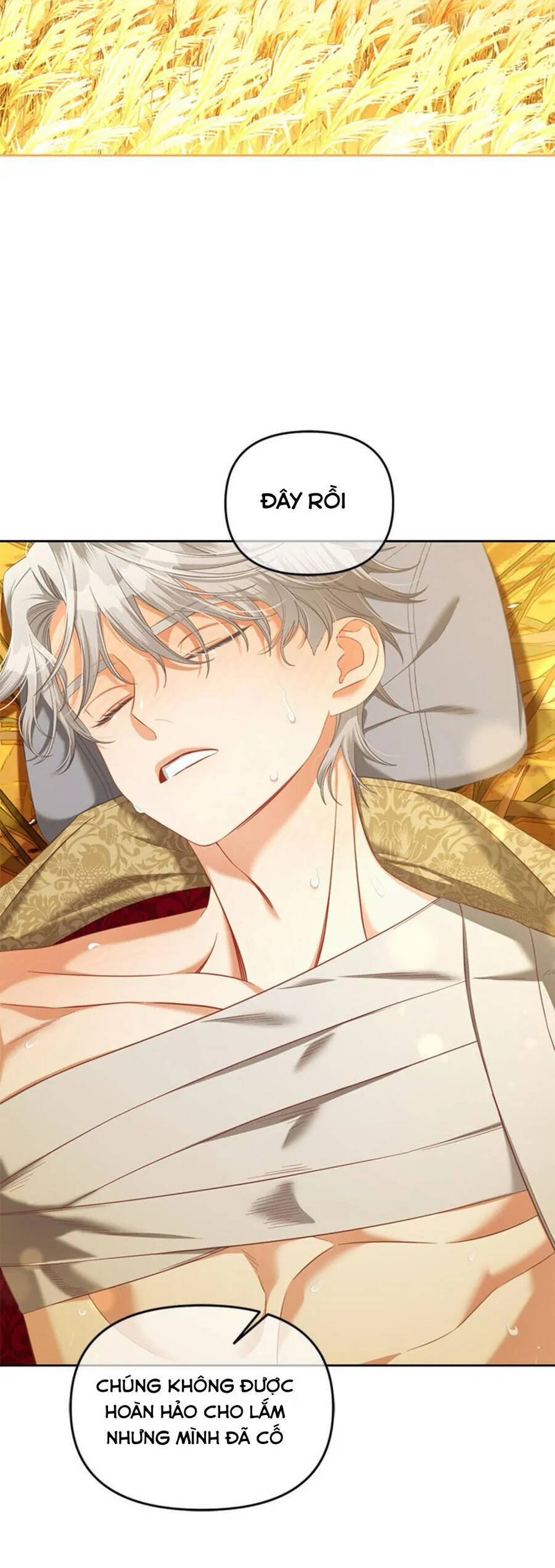 Tôi Sẽ Ở Ngay Bên Cạnh Nam Chính Chapter 47 - Trang 2