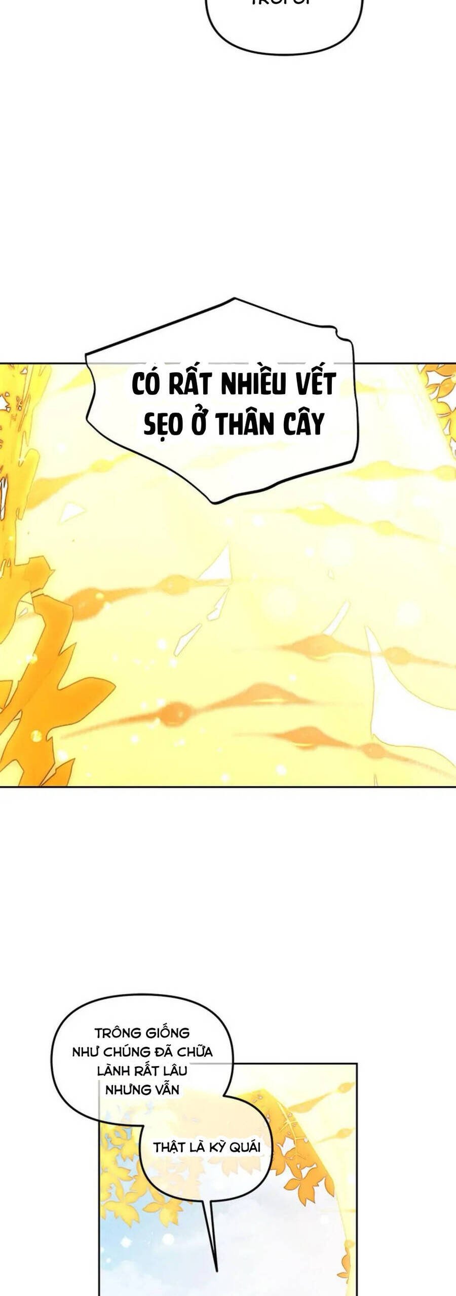 Tôi Sẽ Ở Ngay Bên Cạnh Nam Chính Chapter 47 - Trang 2