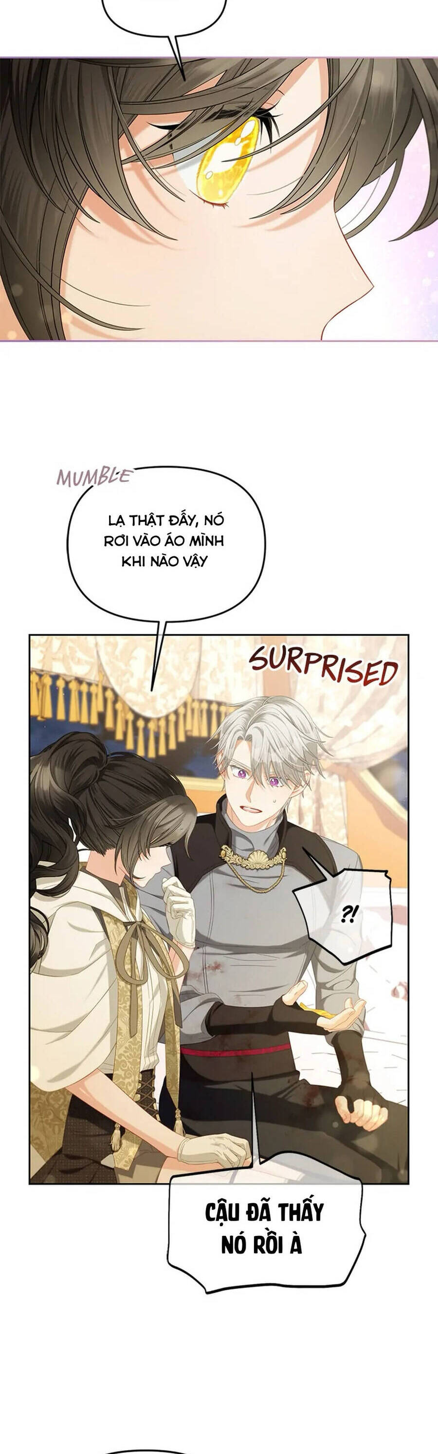 Tôi Sẽ Ở Ngay Bên Cạnh Nam Chính Chapter 50 - Trang 2