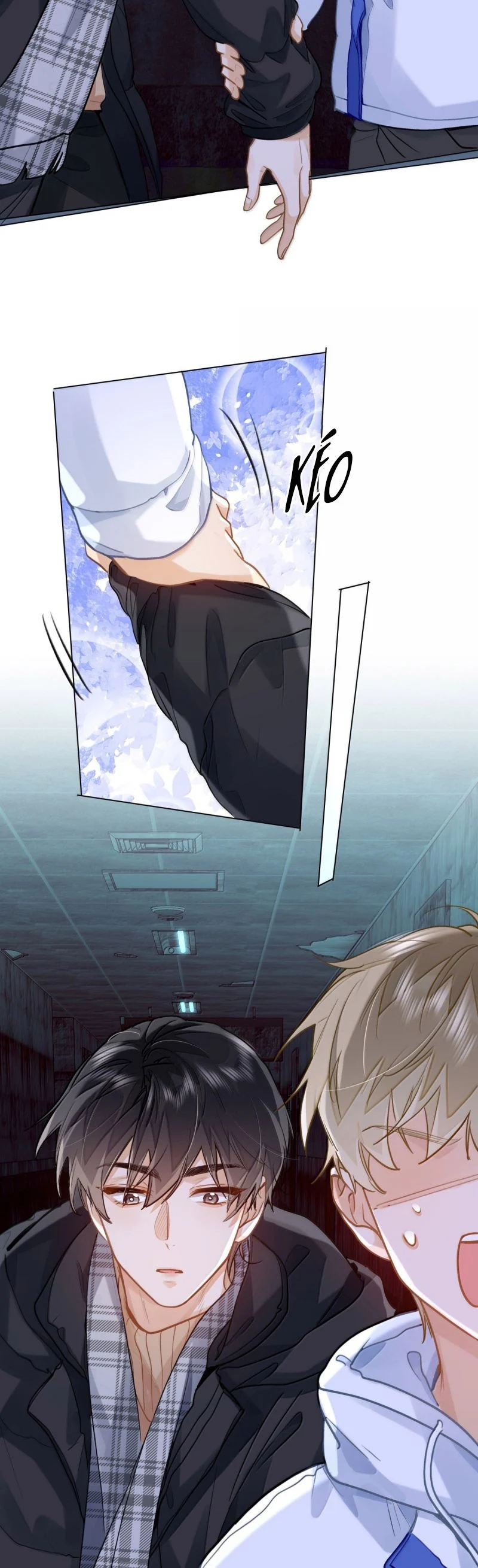 Tôi Thích Tin Tức Tố Của Cậu Chapter 75 - Trang 2