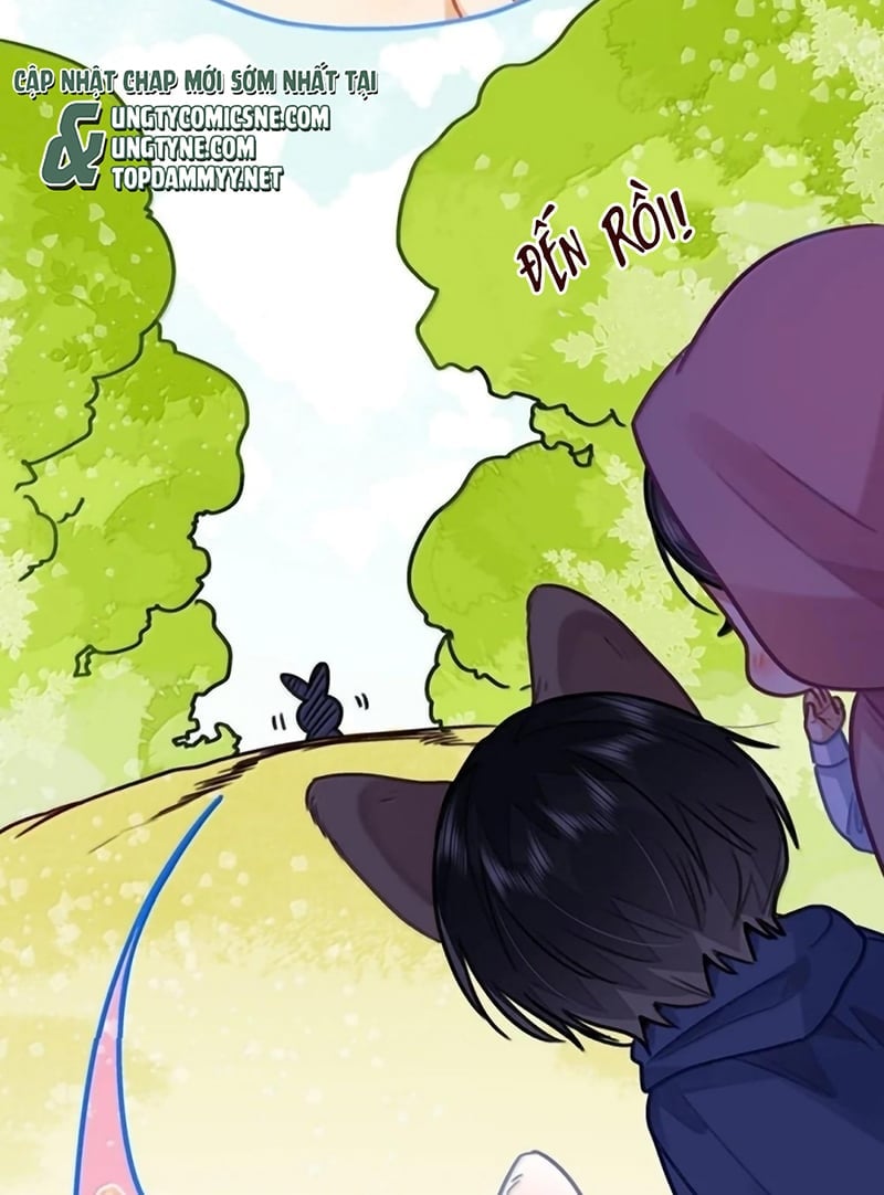 Tôi Thích Tin Tức Tố Của Cậu Chapter 89 14