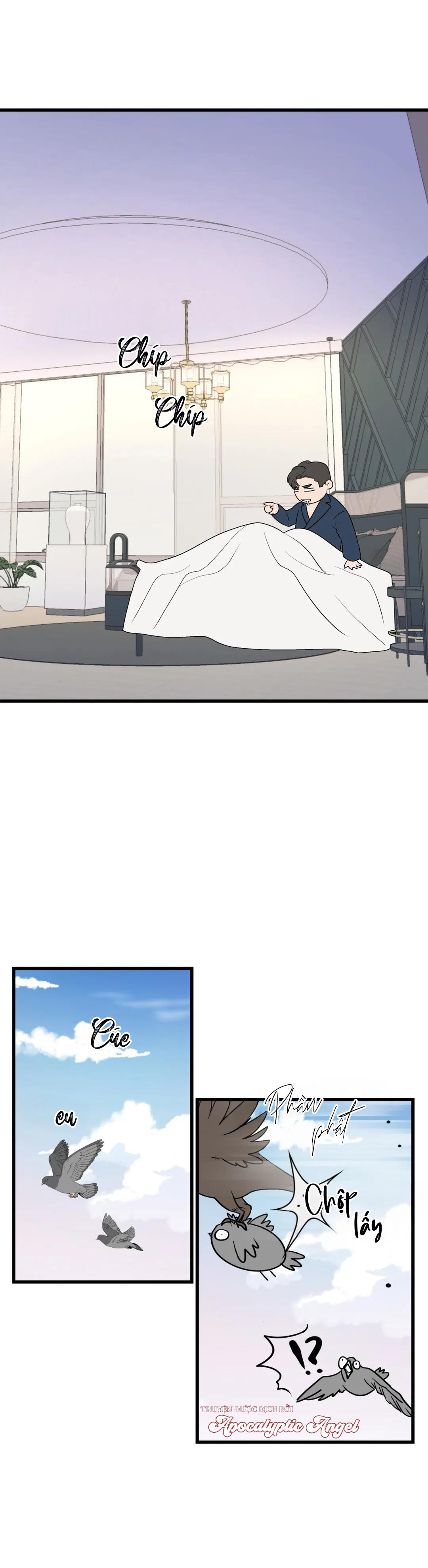 Tôi Từ Trợ Lý Đến Làm Idol Chapter 11 - Trang 2