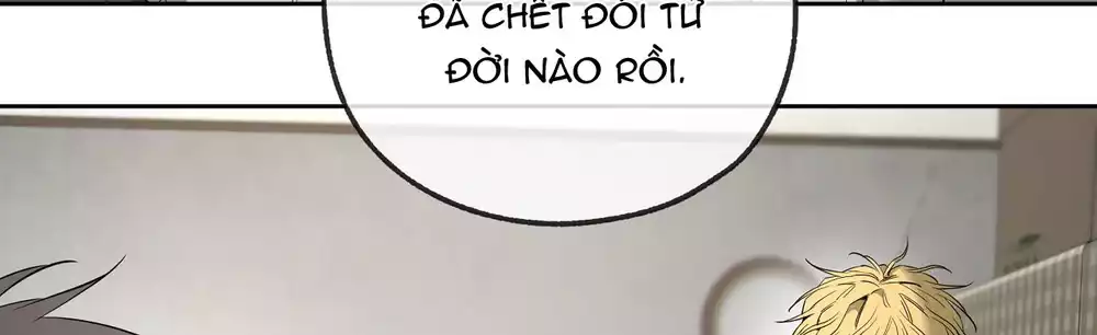 Tôi và Yang Il-woo Chapter 15 61