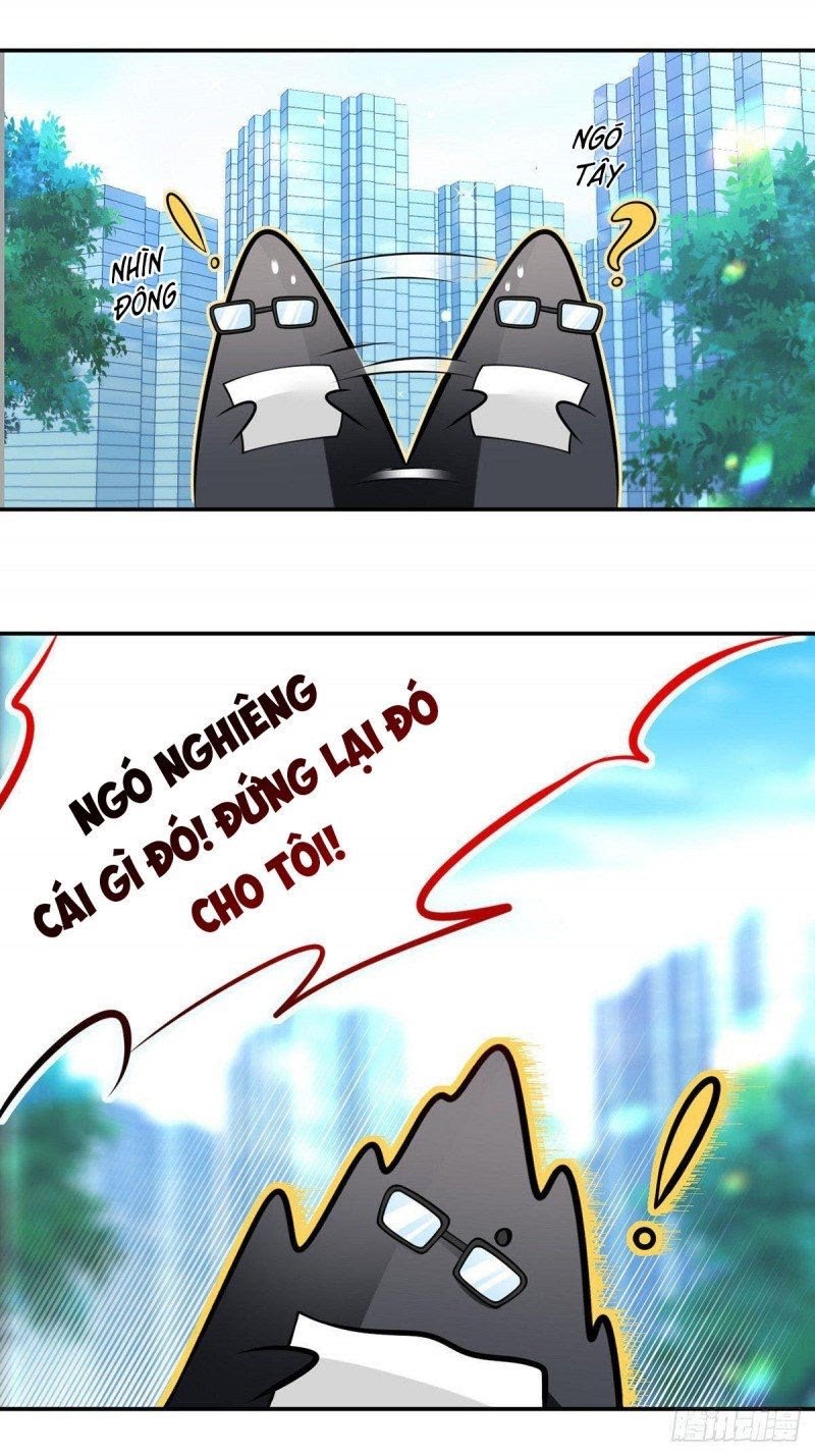 Tôi Xuyên Thành Tiểu Kiều Thê Của Lão Đại Chapter 28 19