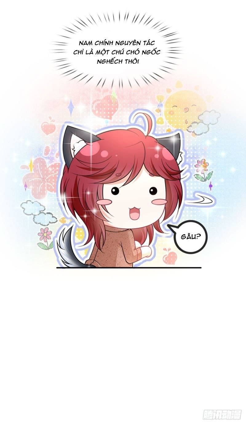 Tôi Xuyên Thành Tiểu Kiều Thê Của Lão Đại Chapter 41 - Next Chapter 42