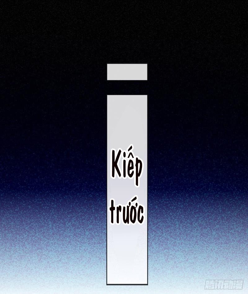 Tôi Xuyên Thành Tiểu Kiều Thê Của Lão Đại Chapter 47.1 11