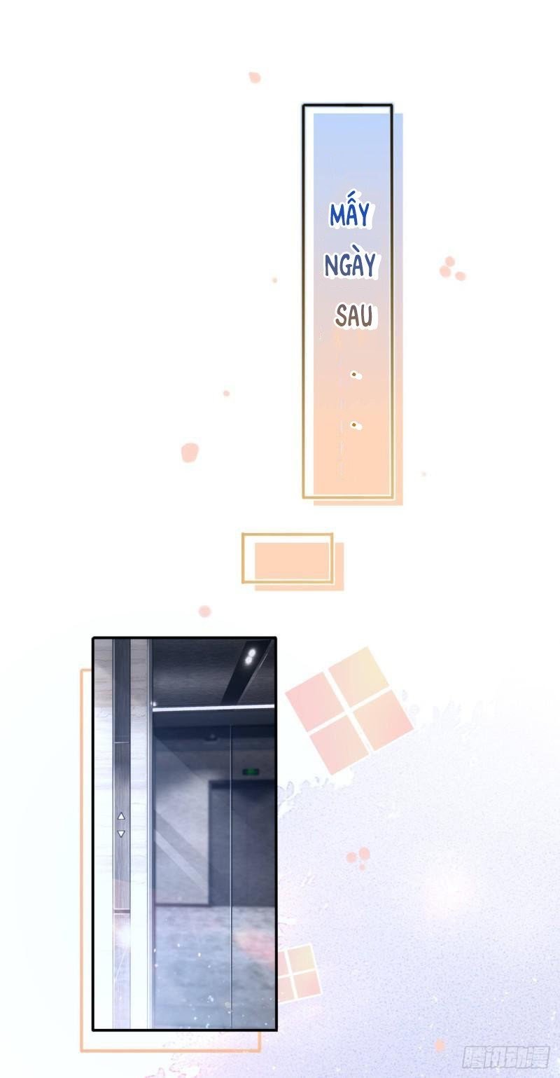 Tôi Xuyên Thành Tiểu Kiều Thê Của Lão Đại Chapter 48 - Next Chapter 49