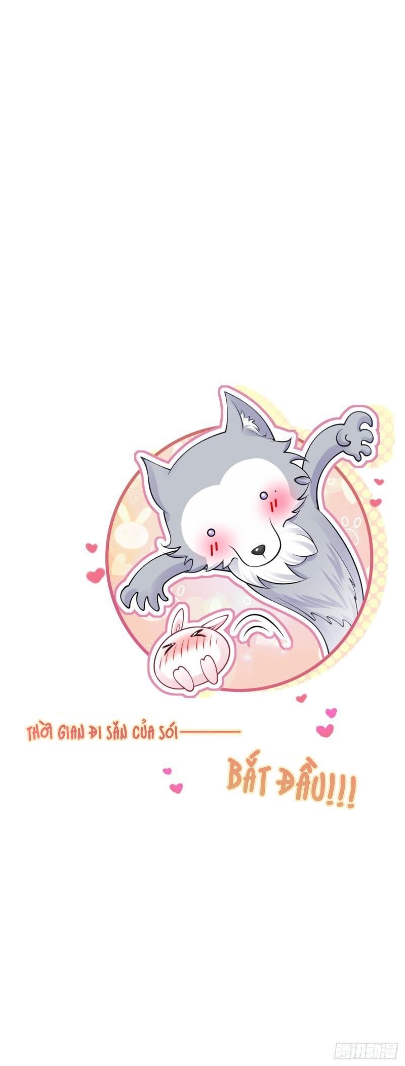 Tôi Xuyên Thành Tiểu Kiều Thê Của Lão Đại Chapter 48 - Next Chapter 49