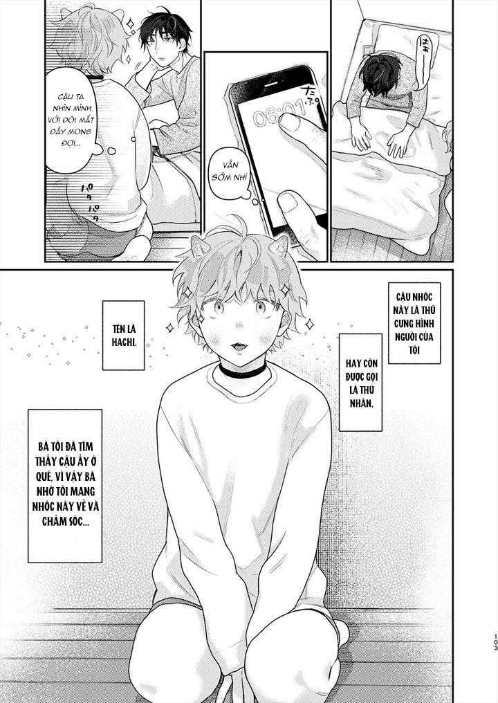 Tổng hợp oneshot Chapter 218.5 - Trang 2